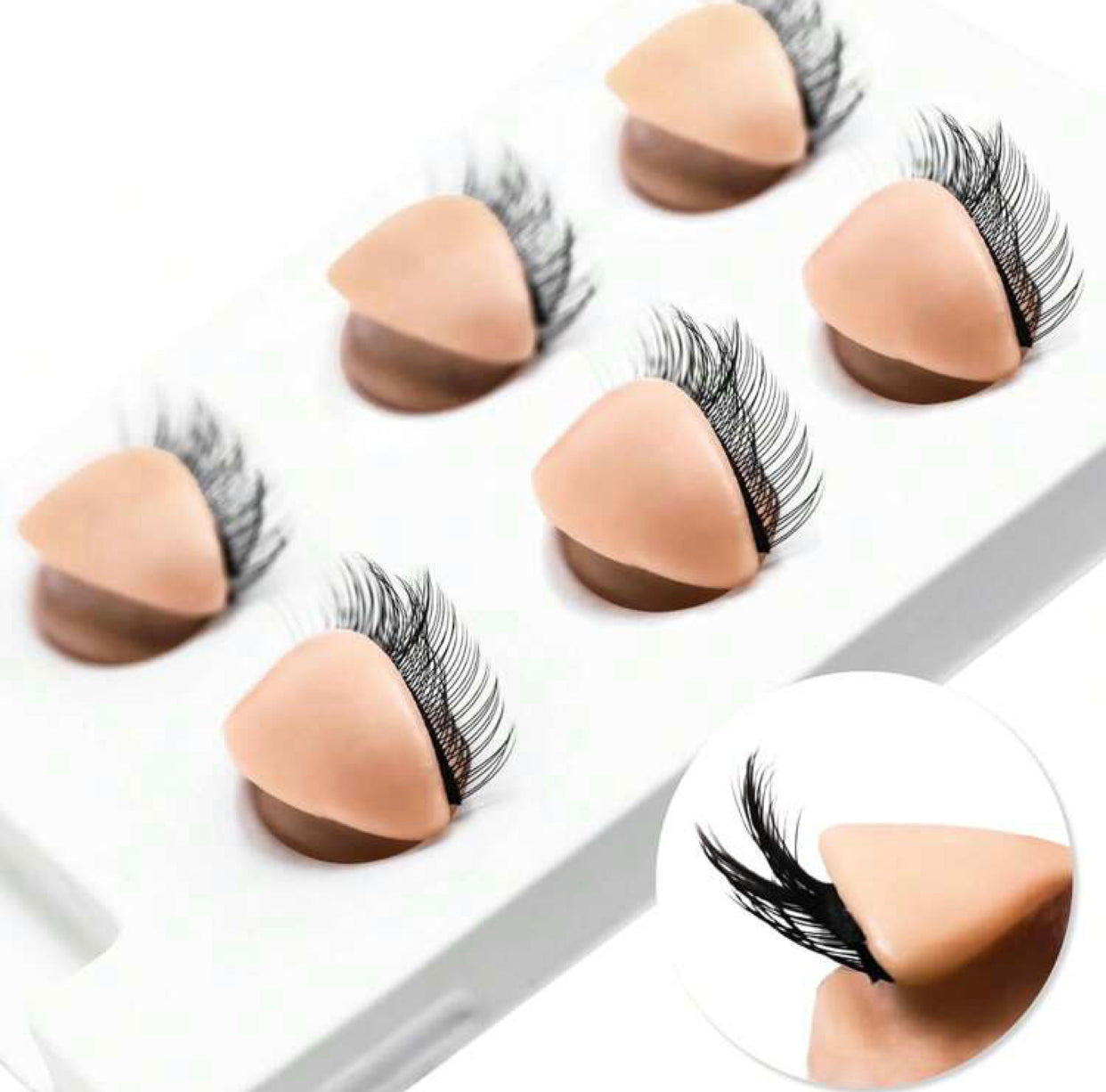 Double Layer Practice Lash (6 Eyes)